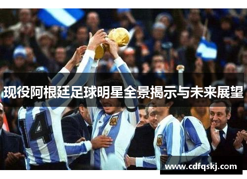 现役阿根廷足球明星全景揭示与未来展望